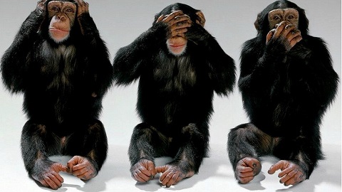 cruise shipping miami